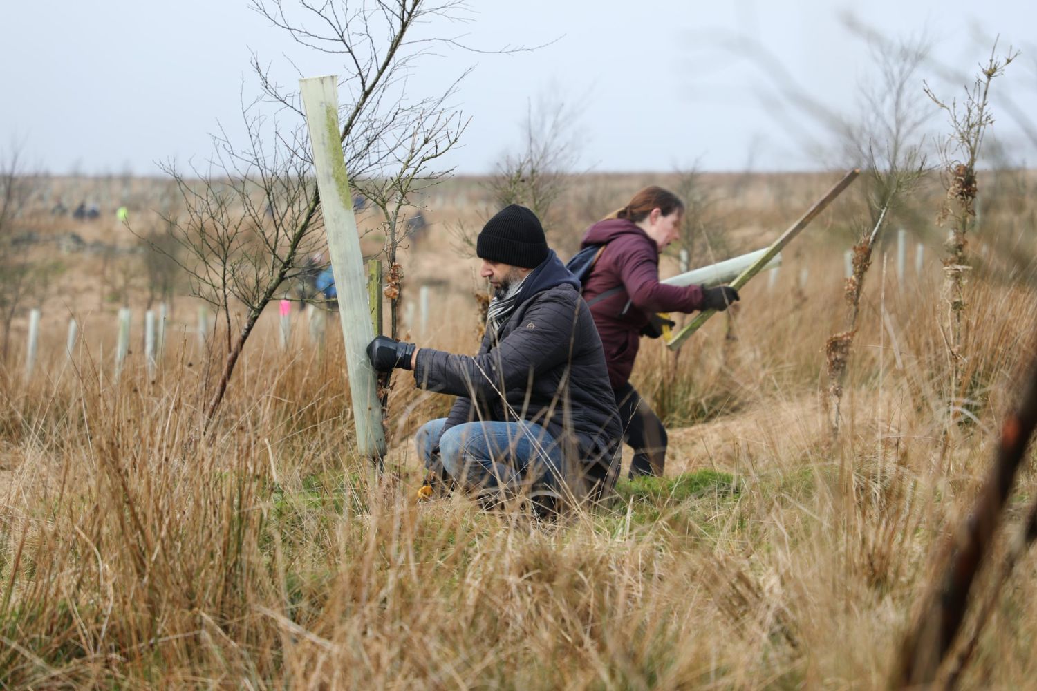 Rooted in Action: Premier and Woodland Trust Unite to Host Tree Planting Event at Smithills Estate