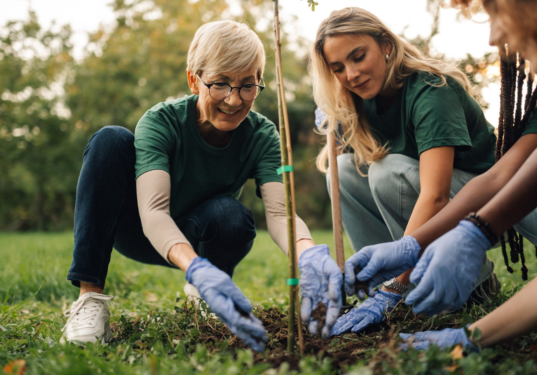 Sustainability protocols