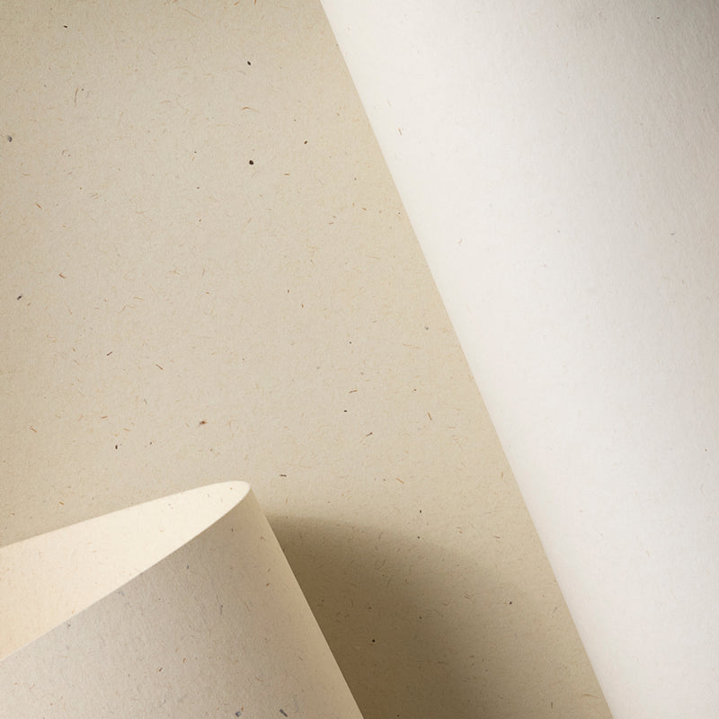 Print Solutions: Coated, Uncoated & Creative Paper | Premier